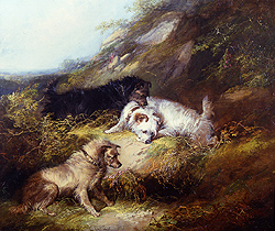 Terriers Rabbiting - George Armfield