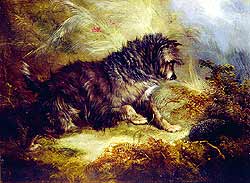 A Terrier and a Hedgehog - George Armfield