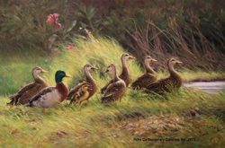 Heading Home to Roost by Holly Hope Banks - 24 x 36 inches Signed contemporary american animals ducks geese water fowl