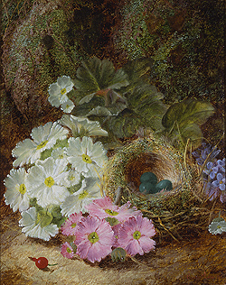 Flowers, a Berry and a Bird\'s Nest - Oliver Clare