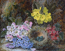 Primroses, Apple Blossoms and Bird\'s Nest - Oliver Clare