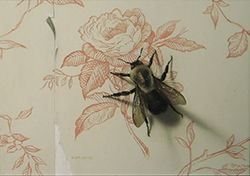 Bee - Tony Curanaj