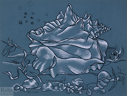Still Life with Shell by Ugo Omleto Giannini - 19 x 23 inches Signed and dated '53 still life american abstract leger marine 