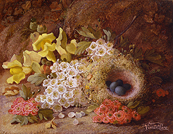 Flowes and Bird\'s Nest on a Mossy Bank - Vincent Clare