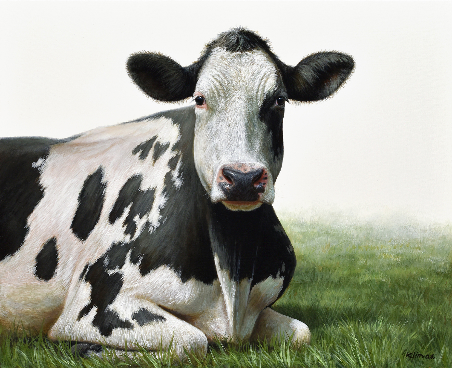 alexandra_klimas_ak1004_betty_the_cow.jpg