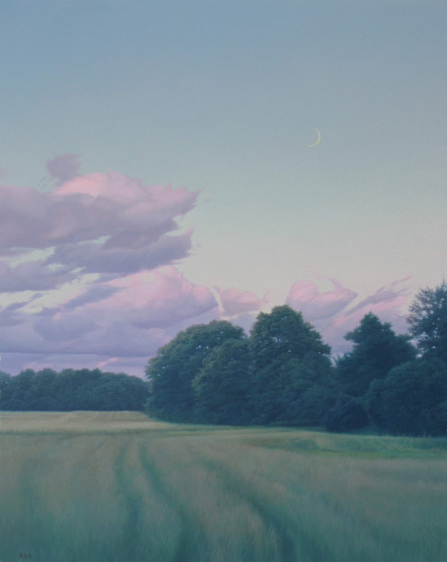 brett_scheifflee_bos1011_july_crescent.jpg