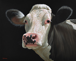 Marijke the Cow - Alexandra Klimas