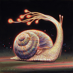 Starburst Snail