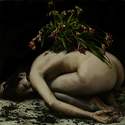 Requiem for the Obedient - Amanda Greive