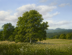 A Summer View to Middlesex, VT - Andrew Orr