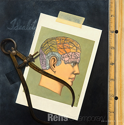 Phrenology - Erika Baez
