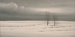 Silence - Gail Descoeurs