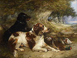 Gundogs with Game