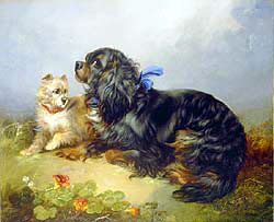 King Charles Spaniel and a Terrier