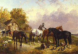 Horses in a Farmyard