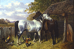 Horses and Poultry in a Paddock