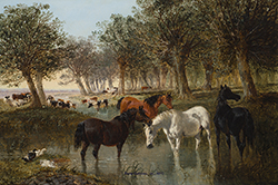 Watering Horses