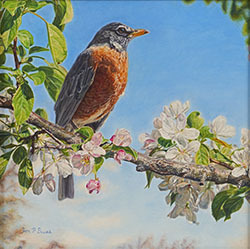 Out on a Limb - Jon Burns