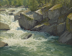 A Force of Nature - Kathleen Dunphy