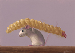Fryday - Stuart Dunkel