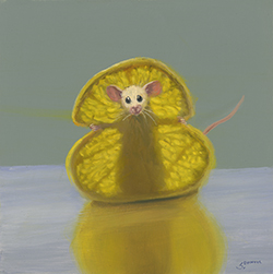 Lemon Xray 35 - Stuart Dunkel