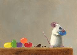 Jelly Bean Trials - Stuart Dunkel